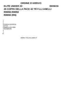thumbnail of RIMINI 2016