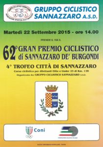 thumbnail of SANN 15 GUIDA
