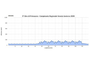 thumbnail of Altimetria-2020