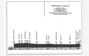 thumbnail of 222 ALTIMETRIA MEDAGLIA D’ORO FIERA DI SOMMACAMPAGNA 2021